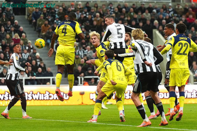 Đội hình dự kiến trước trận Newcastle vs Tottenham Đội hình dự kiến trước trận Newcastle vs Tottenham
