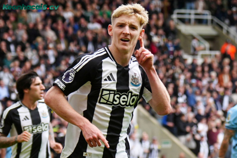 Đội hình dự kiến trước trận Sunderland vs Newcastle Đội hình dự kiến trước trận Sunderland vs Newcastle