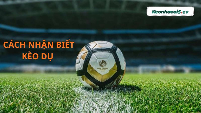 Cách nhận biết kèo dụ Cách nhận biết kèo dụ