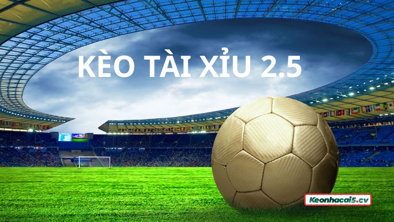 Kèo Tài Xỉu 2.5 rất phổ biến trong cá cược bóng đá trực tuyến Kèo Tài Xỉu 2.5 rất phổ biến trong cá cược bóng đá trực tuyến