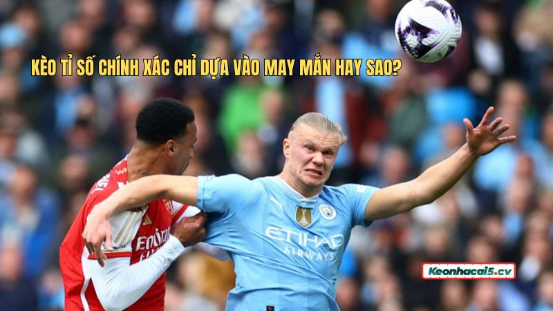 Luận giải câu hỏi Luận giải câu hỏi