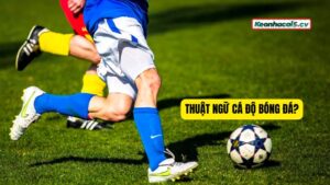 Nắm vững thuật ngữ cá độ bóng đá là điều cần thiết