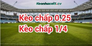 Giải mã kèo bóng đá chấp 1/4 là như thế nào